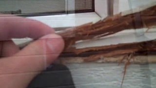 Olathe wood rot repair 913-706-8710