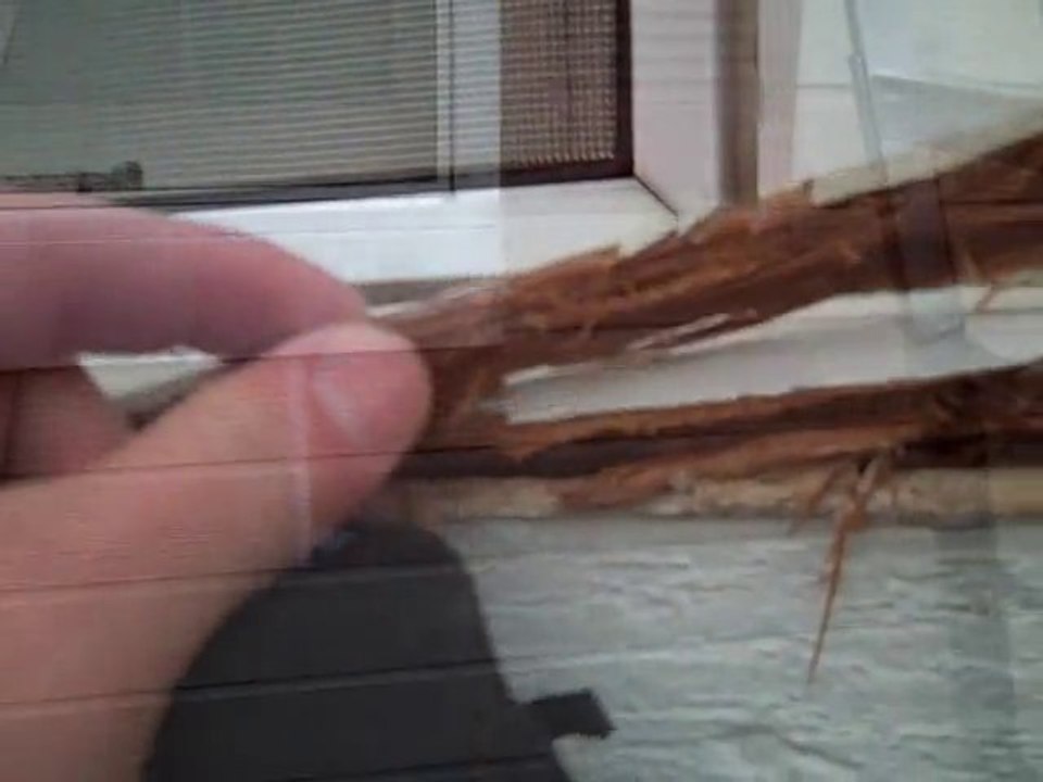 Olathe wood rot repair 913-706-8710