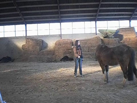 Vinnie travail petit travail a pied