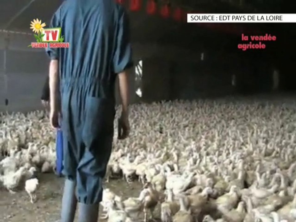 Journal Vendée Agricole Tv // 28 janvier 2011