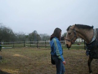 Troisième scéance au clicker avec Calypso