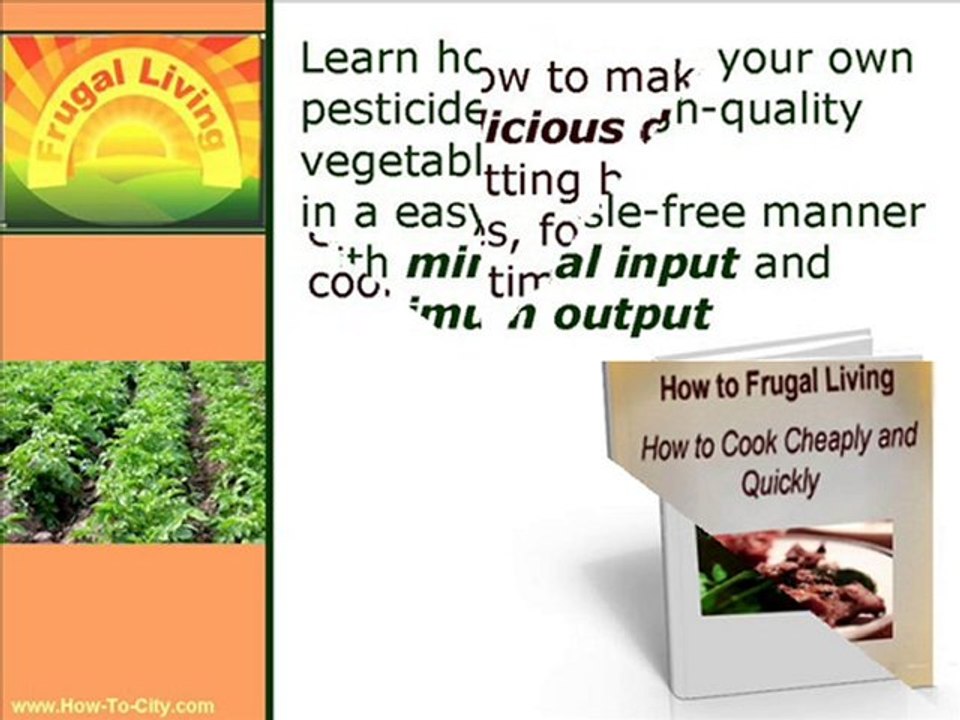 Frugal Living: how to live frugally