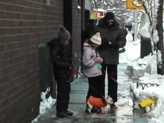 Hugh Jackman's big snowball