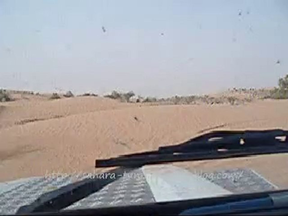 Dunes El Borma, Sud Tunisie