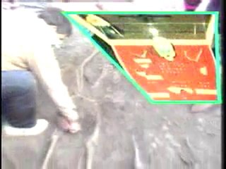 XX.Yüzyılda İnsanlık Dramı