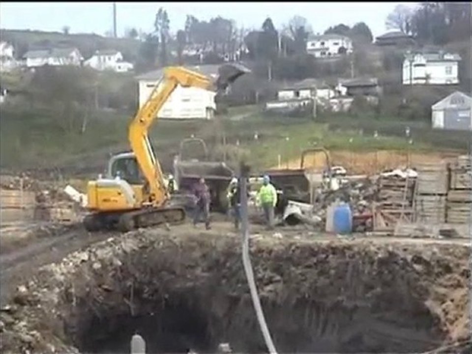 Ribazo 2010