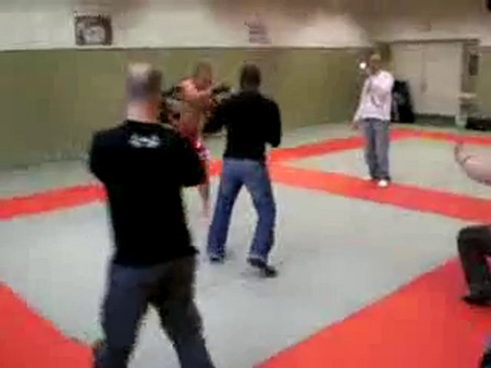 free fight kery james vs gsp  fighter ufc