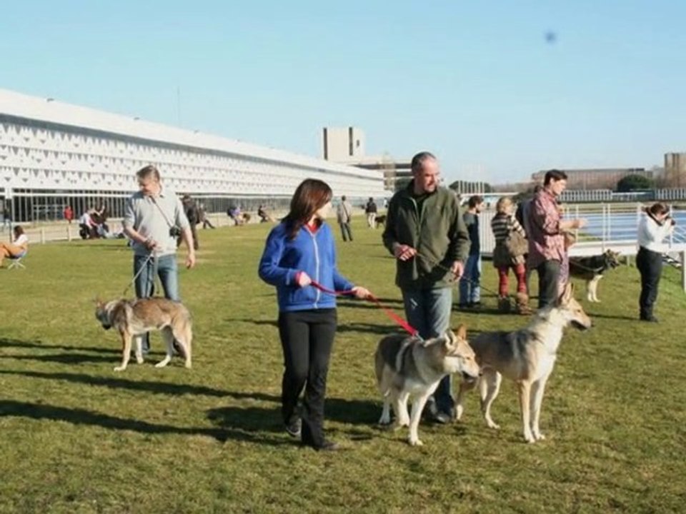 Expo Bordeaux 16-01-11
