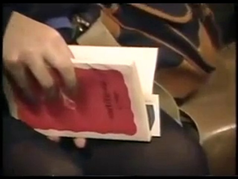 全学連　1993　2
