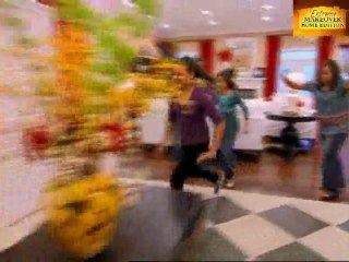 Famille scott 3 sur 3