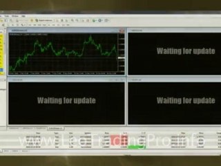 how to use forex robot - Leo Forex trading