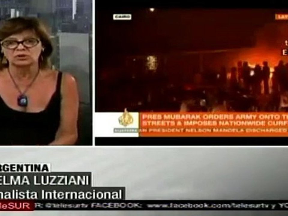 Telma Luzziani habla sobre protestas en Egipto