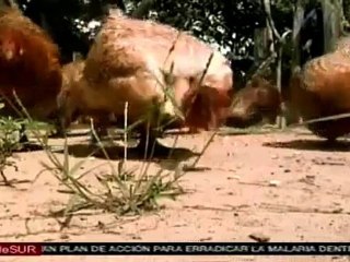 Restitución de tierras en Colombia, un plan que no camina