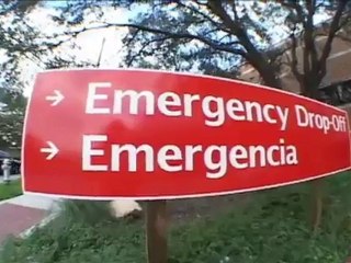 Skateboard -Hall Of Meat - John Rattray