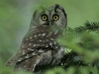 JURA, Instants Volés (BA)