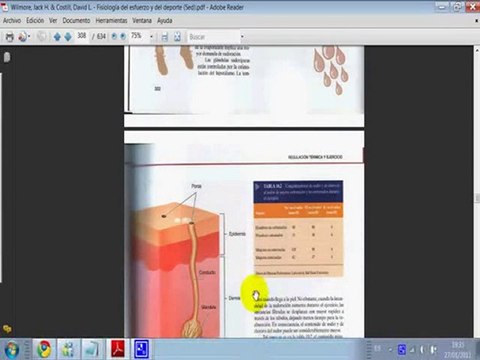 Hidratacion deportiva 7 Bebidas deportivas Fisiologia ejerci
