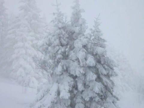 La beauté des paysages