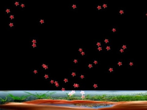 Kur'ra Hafız Ömer Coci Hoca Efendi Aşr-ı Şerif