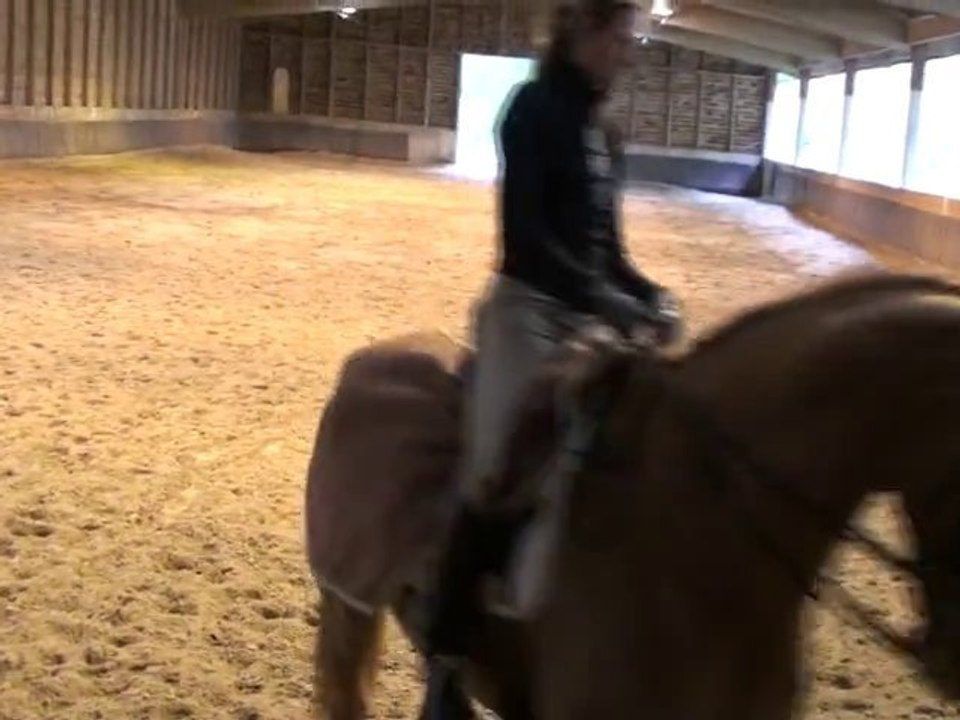 Lydie Karoutchi dressage Patrick Rolland.