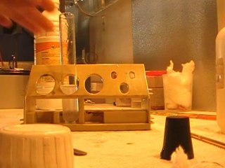 Test des ions magnesium.