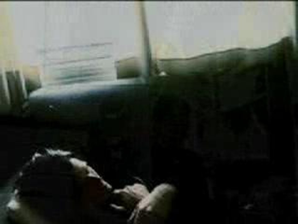 The Brian Jonestown Massacre