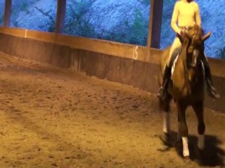 Lydie Karoutchi dressage Patrick Rolland.