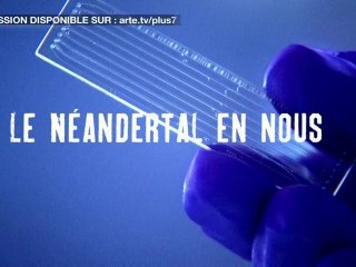 neandertal en nous 1_3
