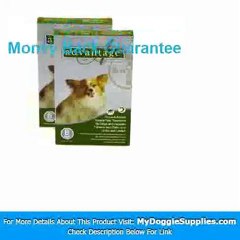 12 MONTH Advantage Flea Control Green  For Dogs under 10lb