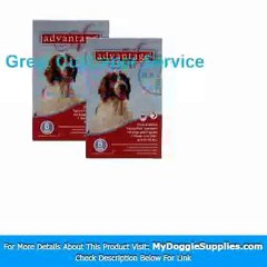 12 MONTH Advantage Flea Control Red  For Dogs 21-55lbs - M