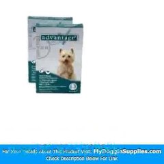 12 MONTH Advantage Flea Control Teal  For Dogs 11-20lbs  -