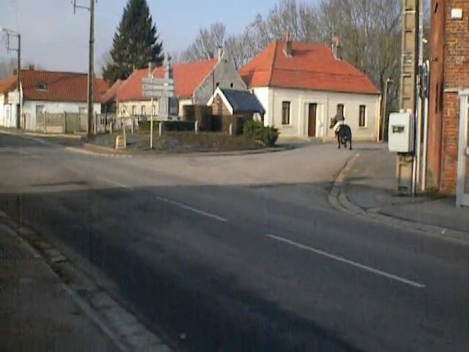 29janv11