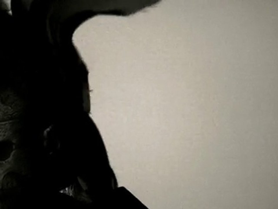 Lady Gaga - Anatomy of Change