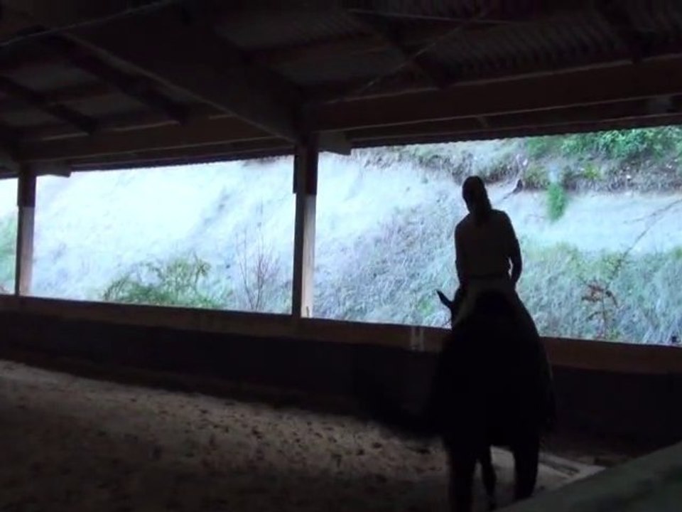 Lydie Karoutchi dressage Patrick Rolland. Légèreté