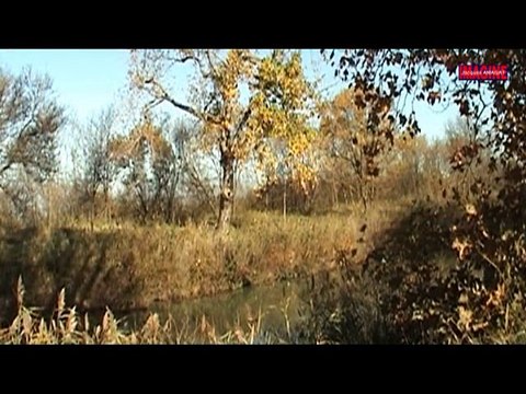 Hommage aux personnels du Canal du Midi . 1ère partie