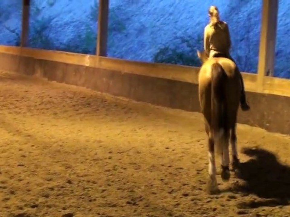 Lydie Karoutchi dressage Patrick Rolland. Légèreté