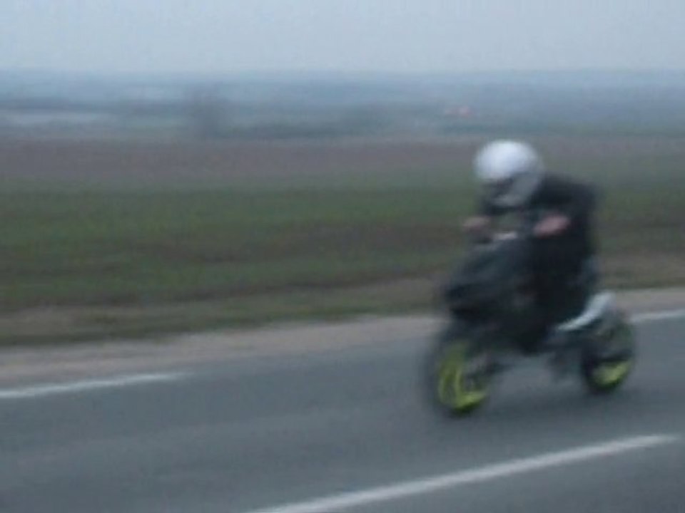 nitro 77 bb de la tf 91