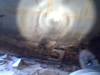 How Do I Know If I Have Termites