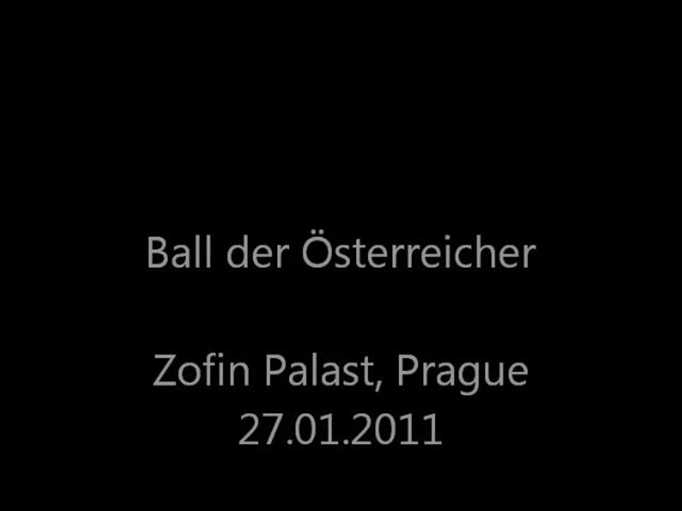 Ball der Österreicher 2011