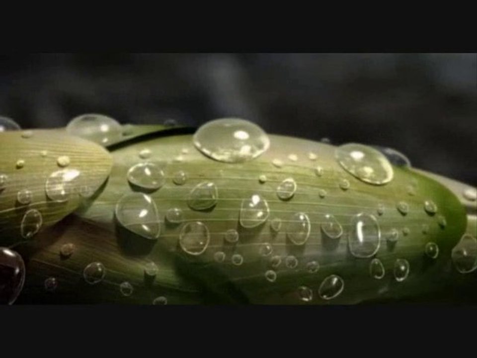 Paul Kalkbrenner Michel Cleis  VS Paul Kalkbrenner  GTA IV L