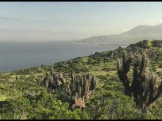 LES SENTINELLES DE LA NATURE - LE CHILI - Teaser