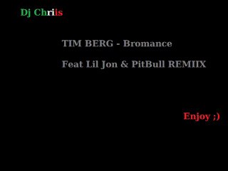 Dj Chriis Tim Berg-Bromance remix feat Lil Jon & PitBull