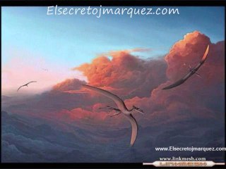 Reflexion 4 Un Dia Triste