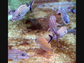 Reflexion 8.. Me Levanto Una Manana..