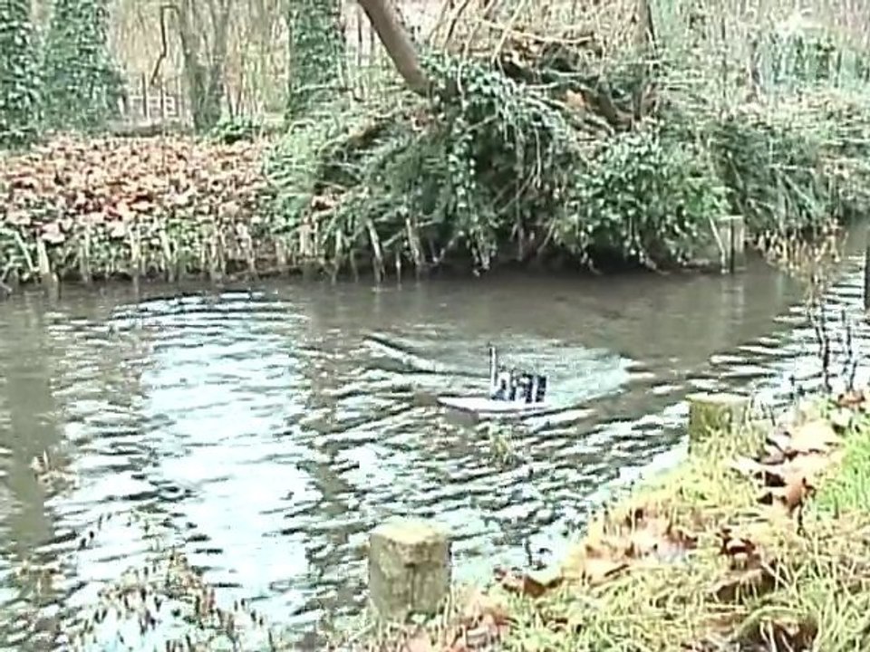 mini alligator tours  "Stock from the box"