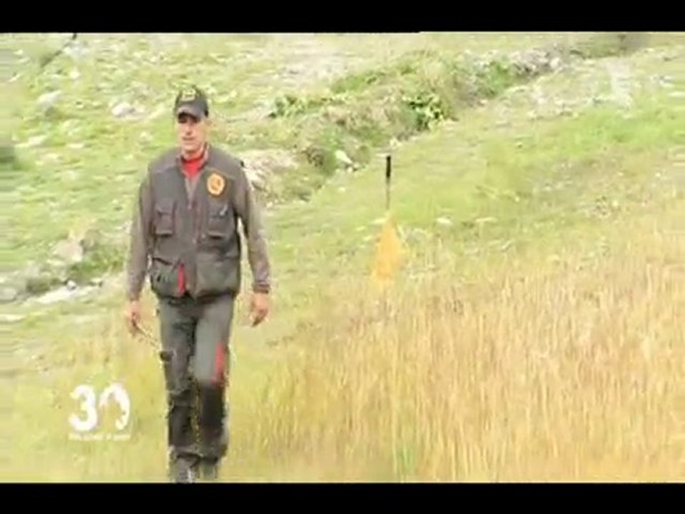 Le pistage un sport qui a du chien!