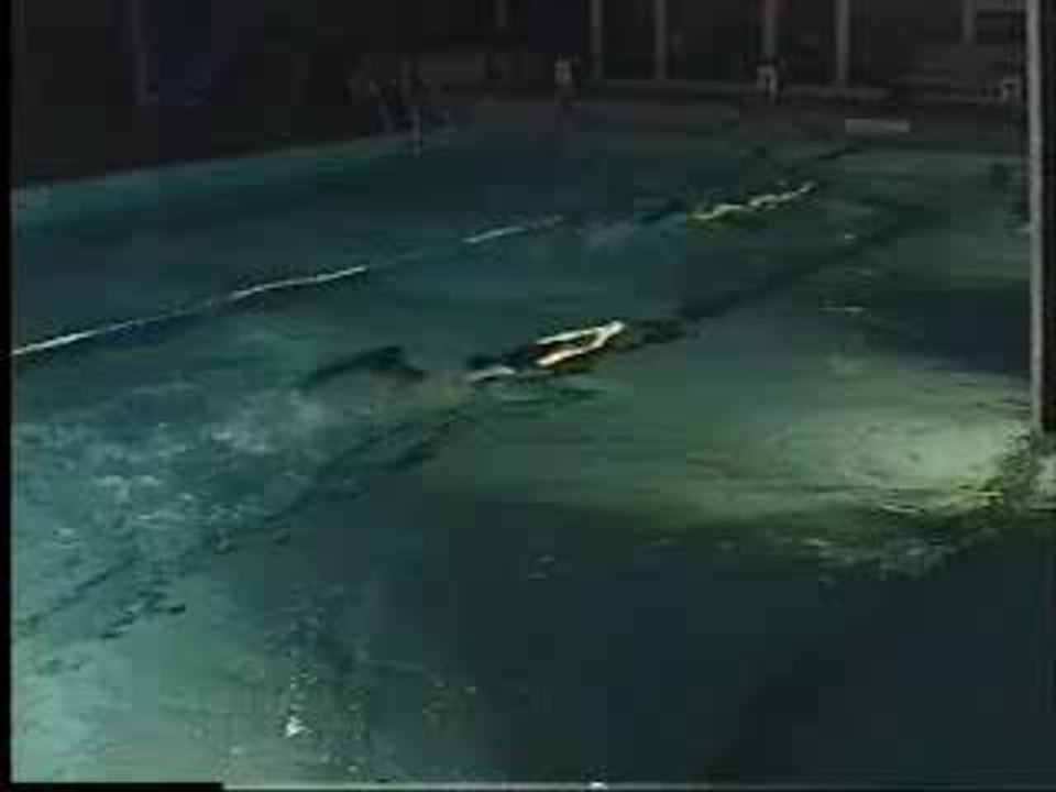 Entrainement nage monopalme et stéréo