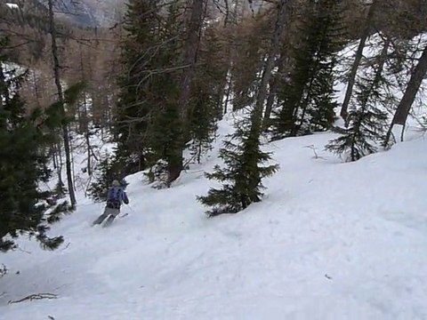 Ski forestier sous Roche Bénite, le 29 janvier 2011