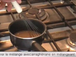 Gastronomie Moléculaire - Gel Elastique - TPE 2010