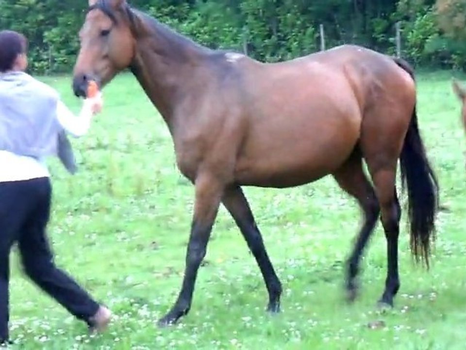 Vidéo Bébéchou environ 1 mois