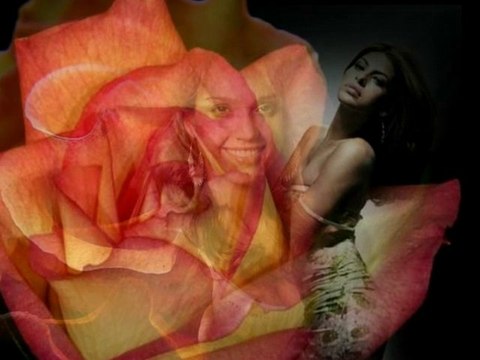 Mój filmik TEN JEDEN KWIAT